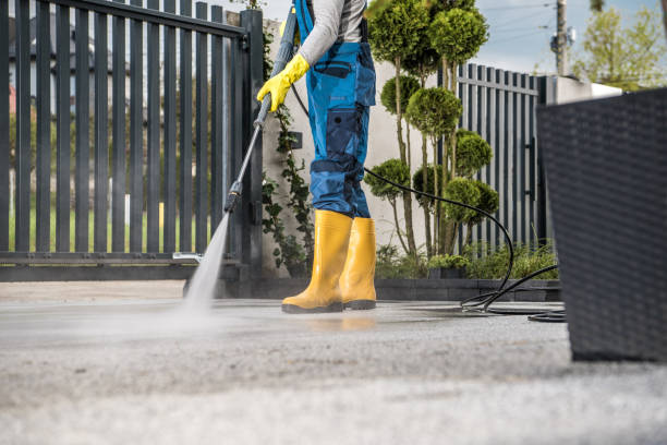 Best Roof Pressure Washing  in Seymour, WI